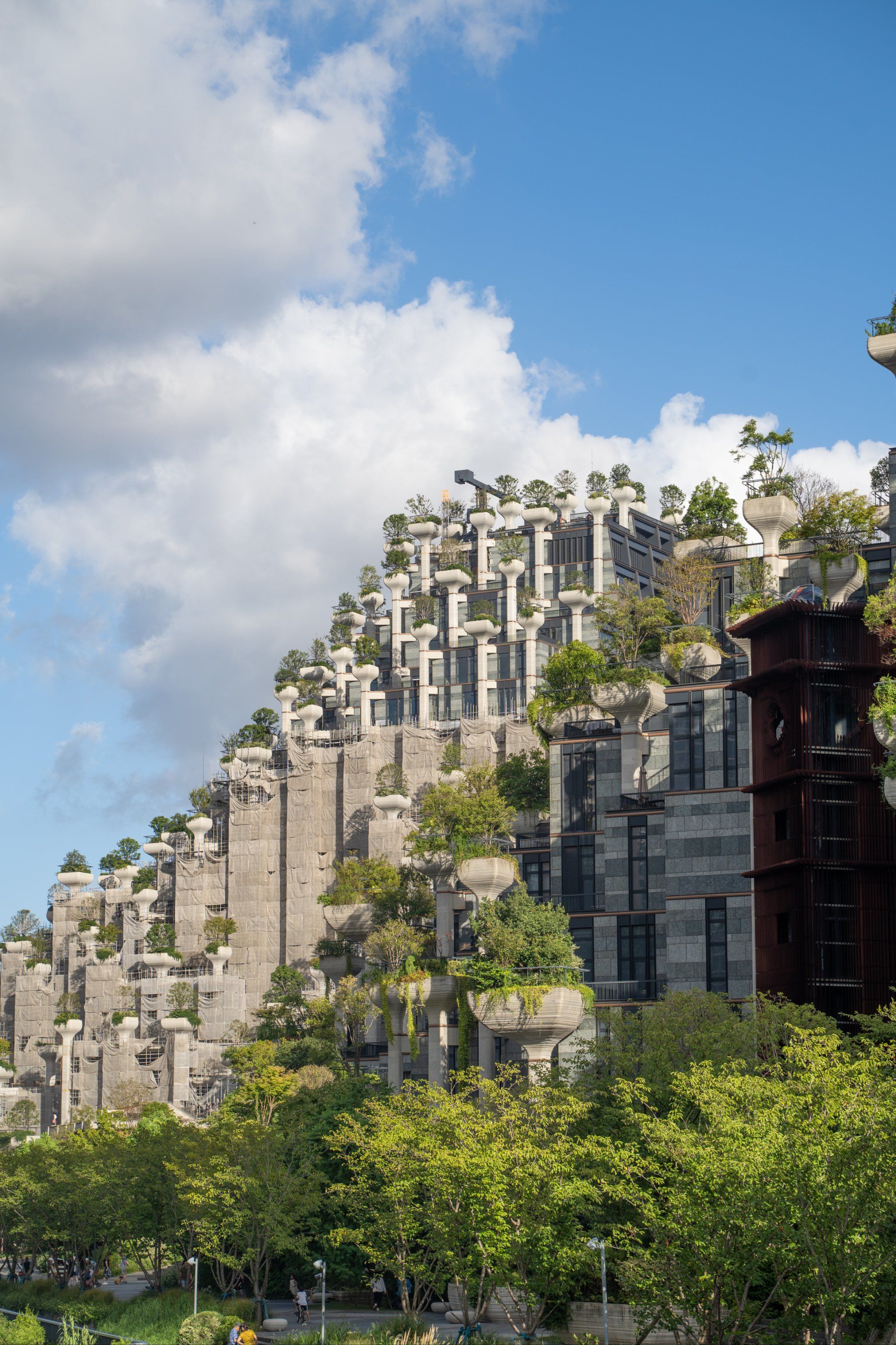 《CN2云服务器：解锁极速网络，让全球业务零延迟》