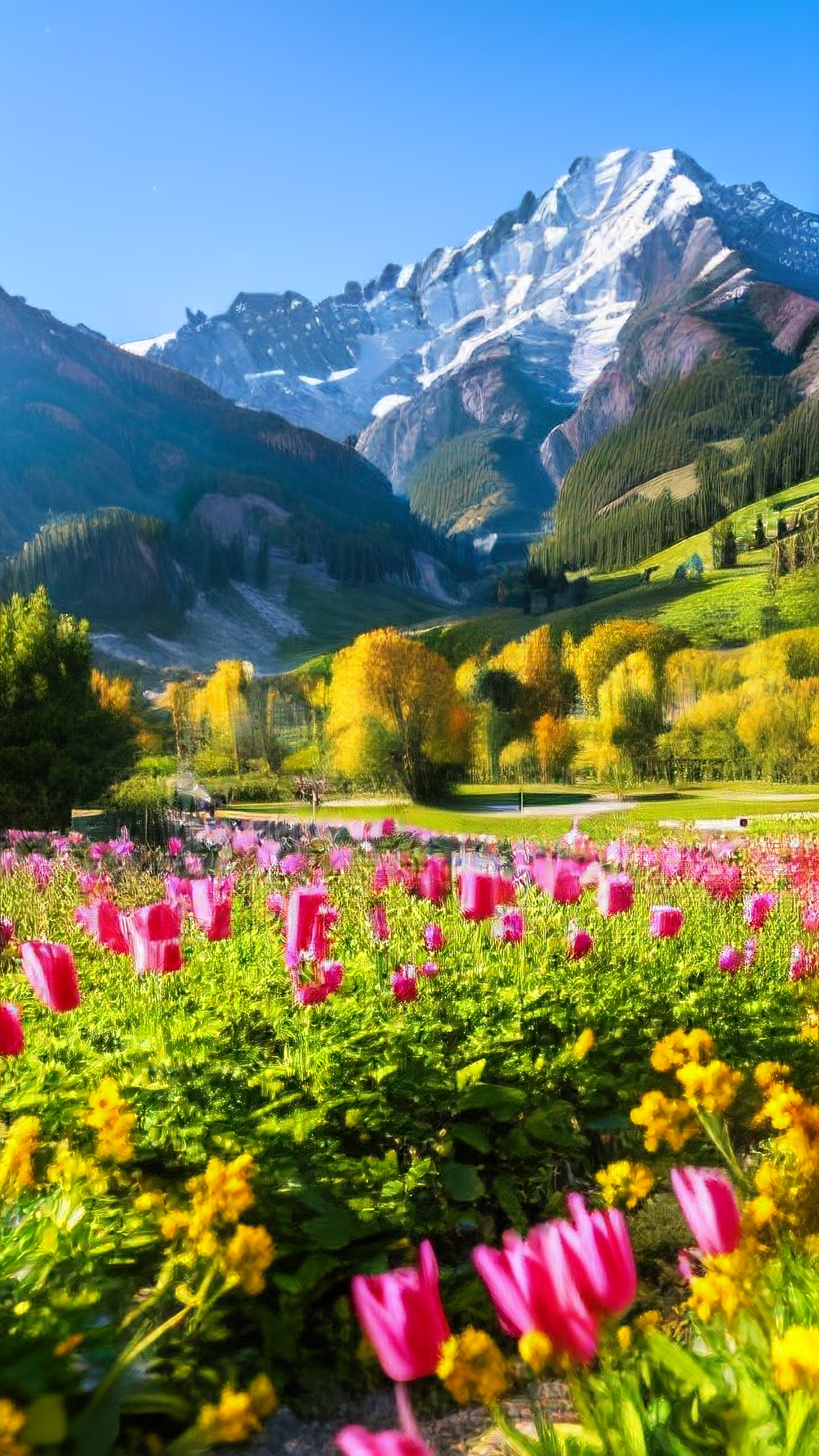 🔥《Win10玩不了Dota2？服务器连接失败终极解决指南！》🔥